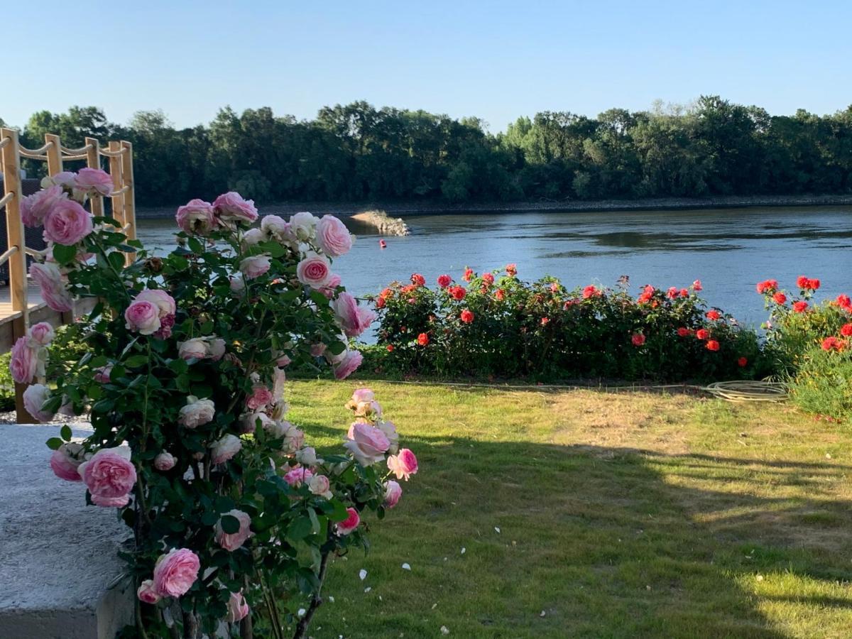 Maisons Au Bord De La Loire - Maison Paradis & Maison Bonheur Au 248 Riverside Le Fosse-Neuf 外观 照片